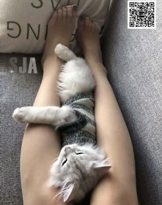 寂寞寡妇bd在线播放_超清视频大全