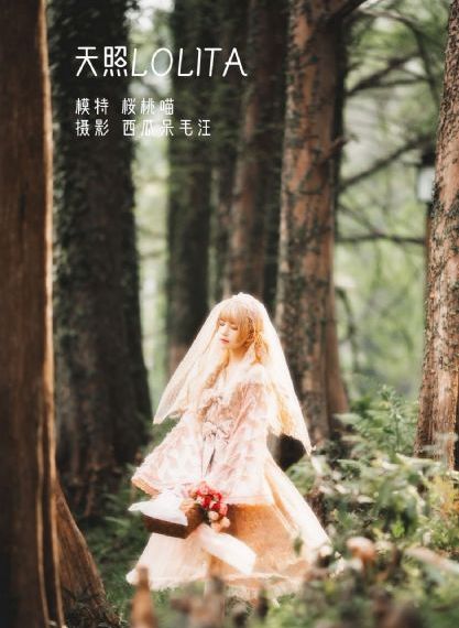 《与鸭共舞》_720在线播放观看